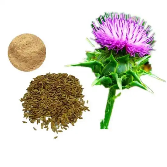 Antioxidant Mechanisms of Silymarin Powder in Cell Protection